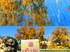 -北京石刻艺术博物馆(五塔寺)