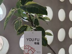 -栖·咖啡