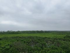 -东寨港红树林旅游区