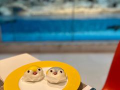 -帝企鹅自助餐厅•儿童岛•真企鹅(长隆企鹅酒店)