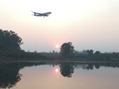 景点-空港花田景区