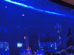 -上和臻品中国菜(花园街店)