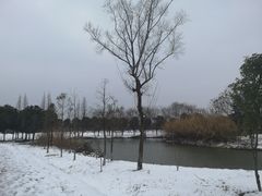 -南湖湿地公园