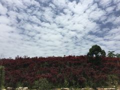 -天河潭旅游度假区