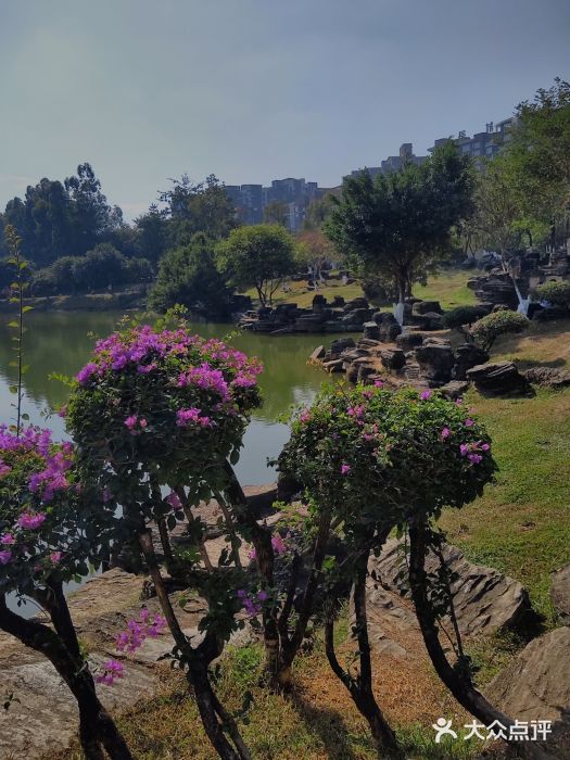 松山湖南湖湾露营营地图片