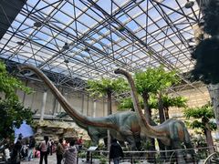 -国家自然博物馆