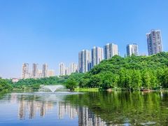 -重庆彩云湖湿地公园