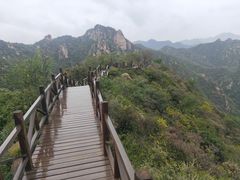 -大岭沟猕猴桃谷风景区