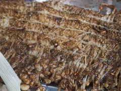 -清真·马坡烧烤涮牛肚·酸浆火锅(新区总店)