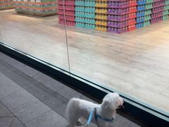 -果蔬好生活超市(东湖店)
