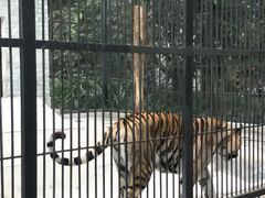 -广东茂名森林公园