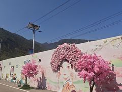 -少华山国家森林公园