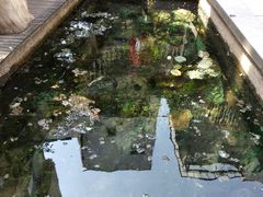 -泉乐坊步行街(烟酒特产平价超市店)