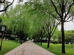 -唐城墙遗址公园