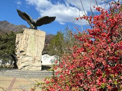 -北京鹫峰国家森林公园