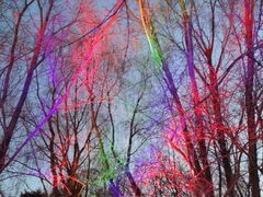 -沈阳奥体冰雪嘉年华