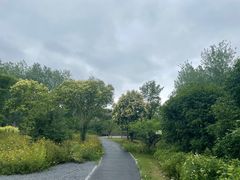 -溱湖国家湿地公园