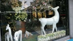 android_upload_pic-格莱美国际影像馆(盛世芳华店)