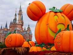 -上海迪士尼度假区