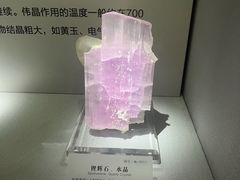 -湖南省地质博物馆