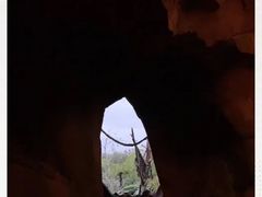 -奥兰多迪士尼动物王国乐园