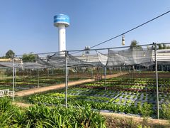 -Ohkajhu Organic Farm Sansai