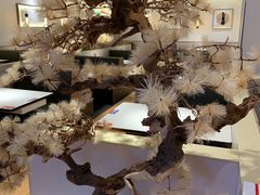 -九毛九西北菜(番禺万达店)