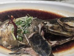 -隆门盛宴