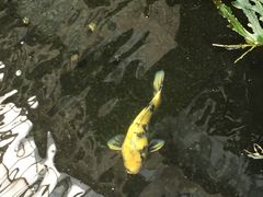 -顺景温泉