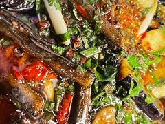 -院8里·小聚园老川菜(九眼桥店)