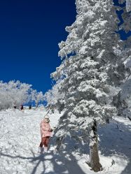 -大秃顶子山(雪谷店)