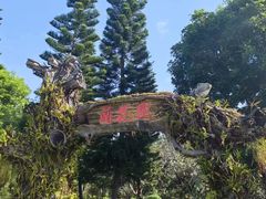 -东莞植物园