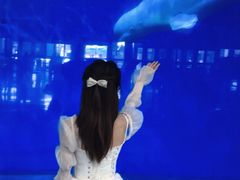 -泉城欧乐堡海洋极地世界