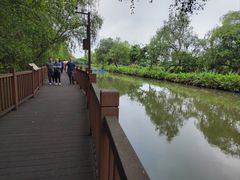 -大湾区中央湿地公园-十九涌