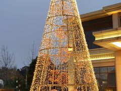 -成都安仁福朋喜来登酒店