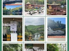 -西双版纳原始森林公园