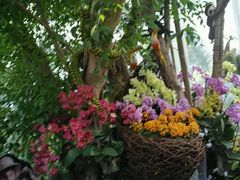 -北京植物园-展览温室