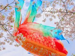 -武汉园博园(武汉自然博物馆)