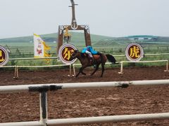 -呼伦贝尔大草原巴尔虎蒙古部落民俗旅游度假景区