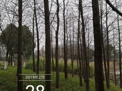 -尚贤河湿地