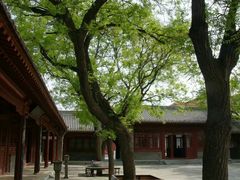 -沧州文庙
