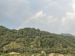 -新安江山水画廊风景区