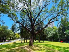 -人民公园(罗湖区)