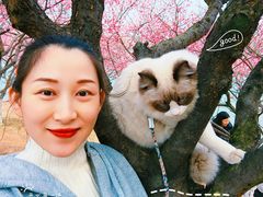 -食膳公园包子铺(烈士公园店)