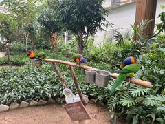 -南宫五洲植物乐园