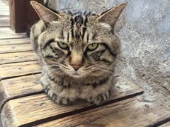 -正阳书局(西四南大街店)