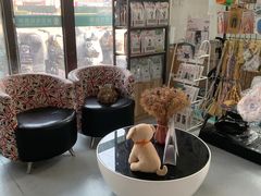 -瑞派雷欧宠物医院·中兽医·眼科·急重症转诊中心(黄台店)