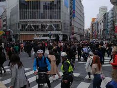 -涩谷区
