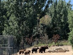 -石家庄市动物园