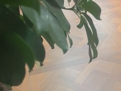 -京玉菲饭店(李村店)